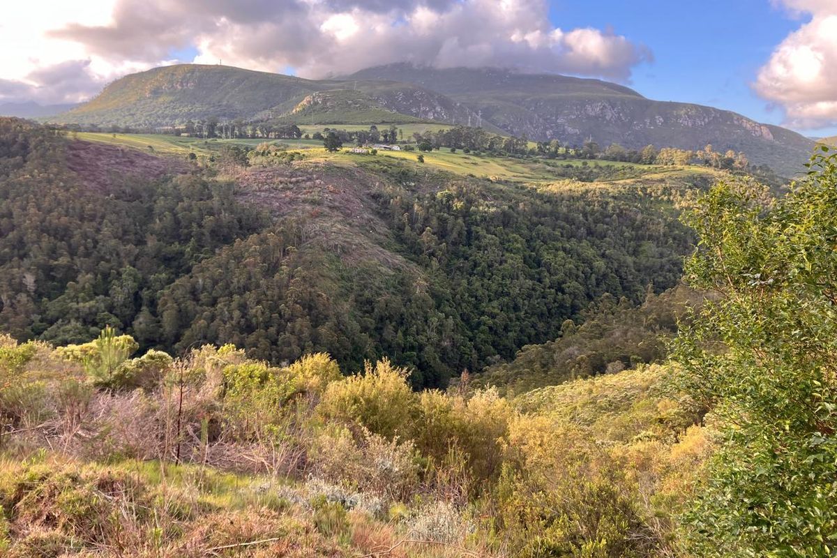 ***Local or International : Build your eco-friendly home in Hoekwil with Scenic views of the River and Mountains*** 3.6 Hectares - Photo 2