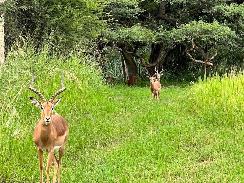 Build Your Dream Home - Photo 7