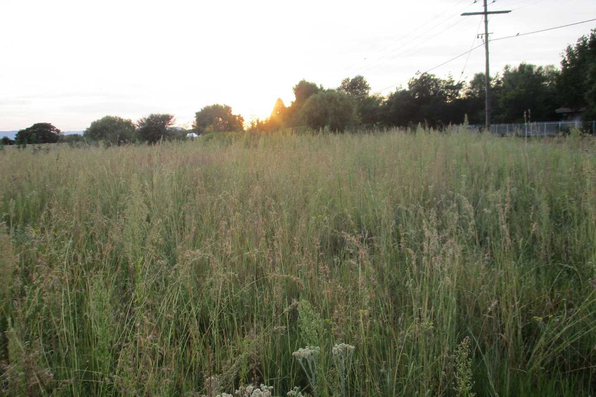 Calling all Developers - Photo 2