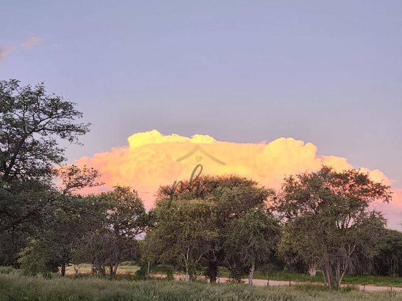A scenic view of the farm landscape featuring mature trees and a sunset sky over the open field.