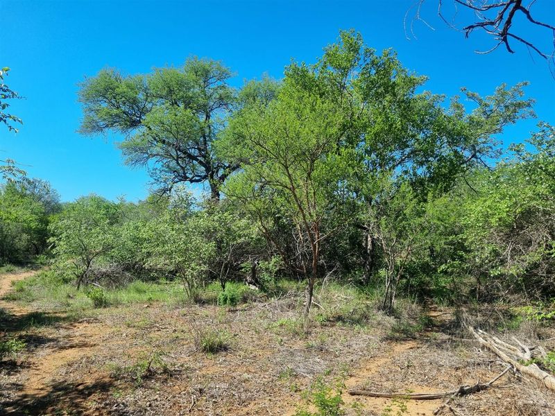 Exceptional Double Stand in Prime Riversdale Farm Location - Photo 5