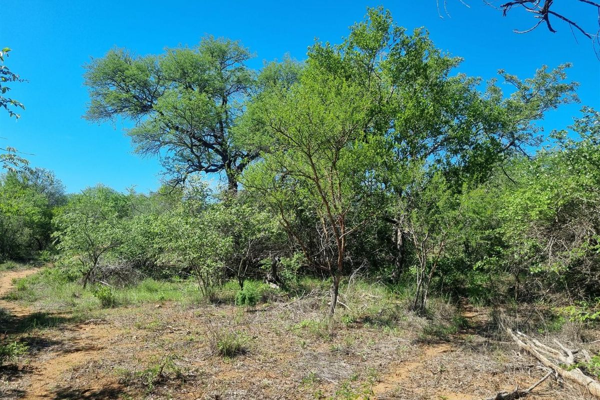 Exceptional Double Stand in Prime Riversdale Farm Location - Photo 5