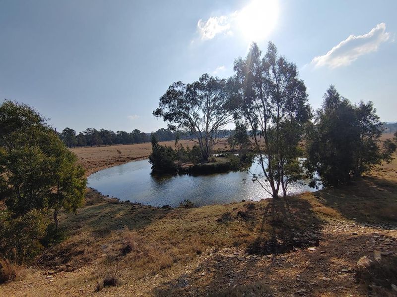 122 Hectares of Your Own Private Game Reserve - A Legacy To Last Generations - Photo 4