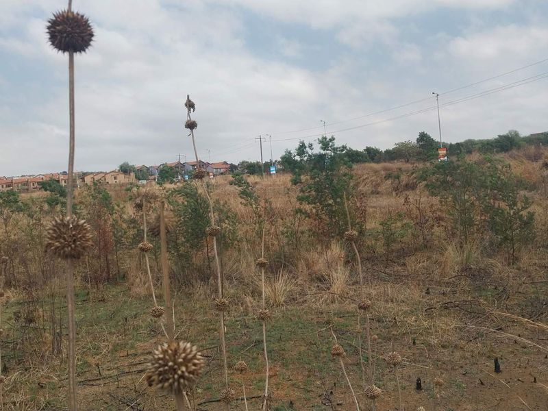 PRIME VACANT LAND WITH EXCEPTIONAL DEVELOPMENT POTENTIAL FOR SALE IN MOOIKLOOF AREA - Photo 10