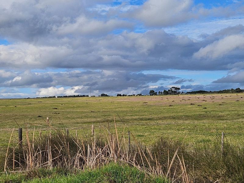 Get back-to-basics in beautiful B-Bos - Photo 8