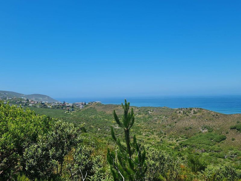 Natures dream - Photo 3