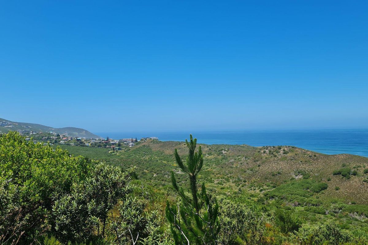 Natures dream - Photo 3