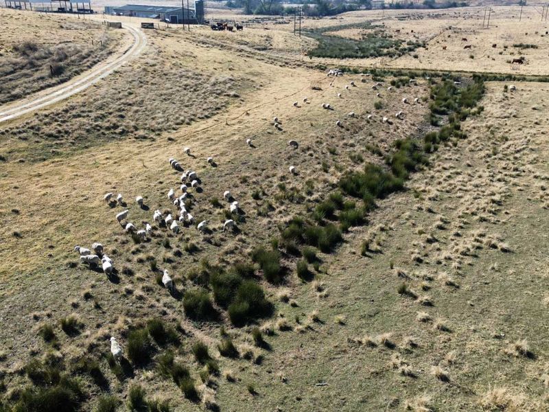 Aerial view of a large farm property featuring expansive grazing pastures, a dirt access road, and distant agricultural outbuildings.