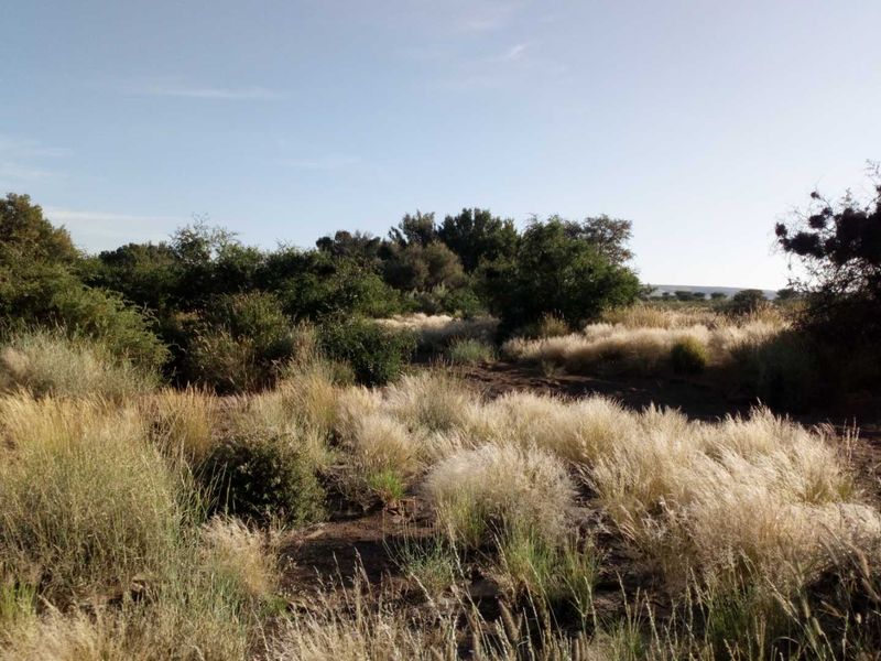 FOR SALE- FARM IN KARASBURG AREA, NAMIBIA - Photo 8