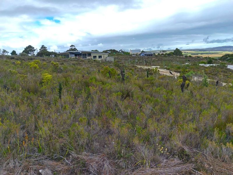 A wide-angle view of a vacant residential plot featuring natural fynbos vegetation and perimeter fencing, with neighboring properties visible in the distance.