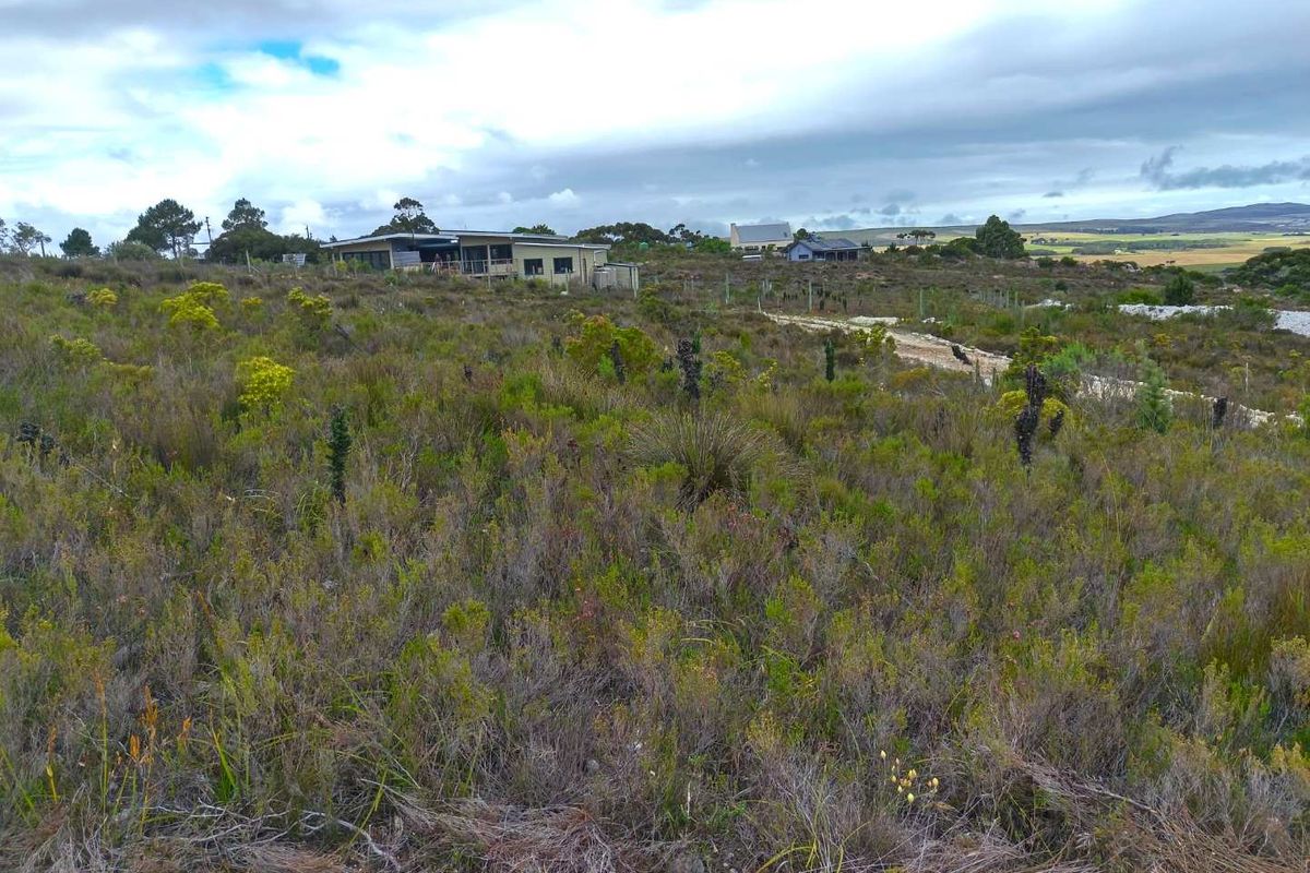 A wide-angle view of a vacant residential plot featuring natural fynbos vegetation and perimeter fencing, with neighboring properties visible in the distance.