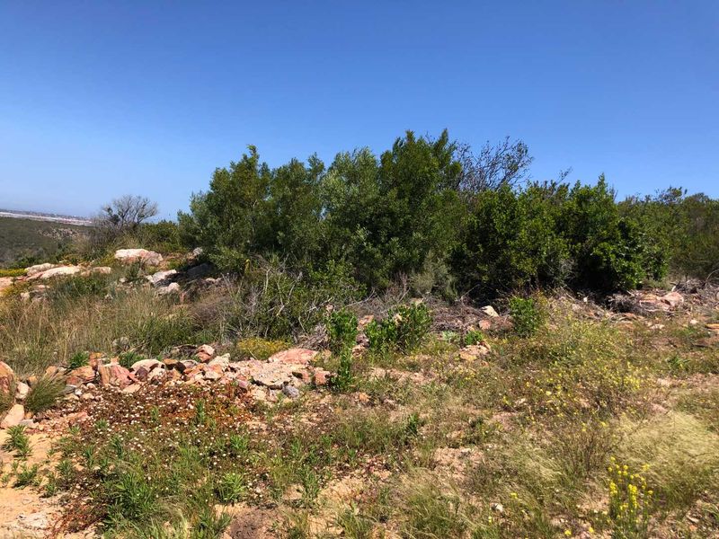 Prime Land with Distant Sea Views Awaits You! - Photo 5