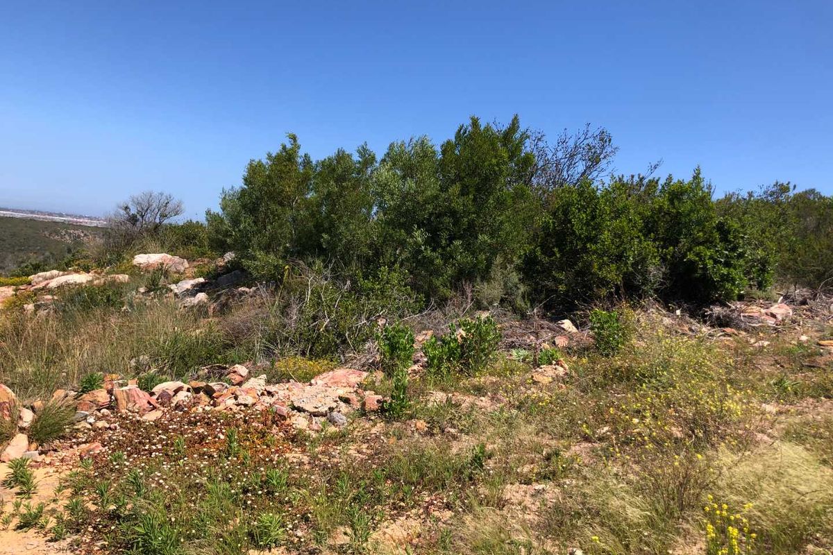 Prime Land with Distant Sea Views Awaits You! - Photo 5