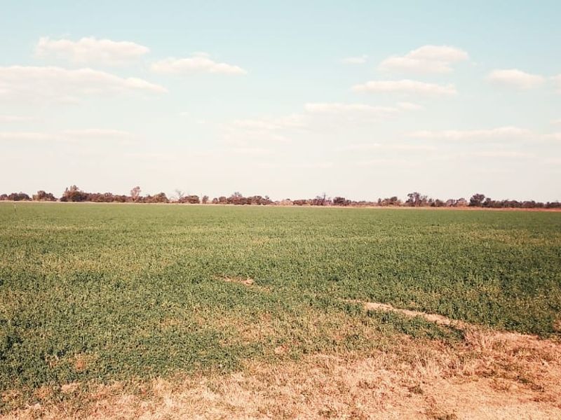 PIVOT POINT WITH 15 HEKT LUCERN .READ POSSIBILITIES BELOW PLEASE - Photo 4