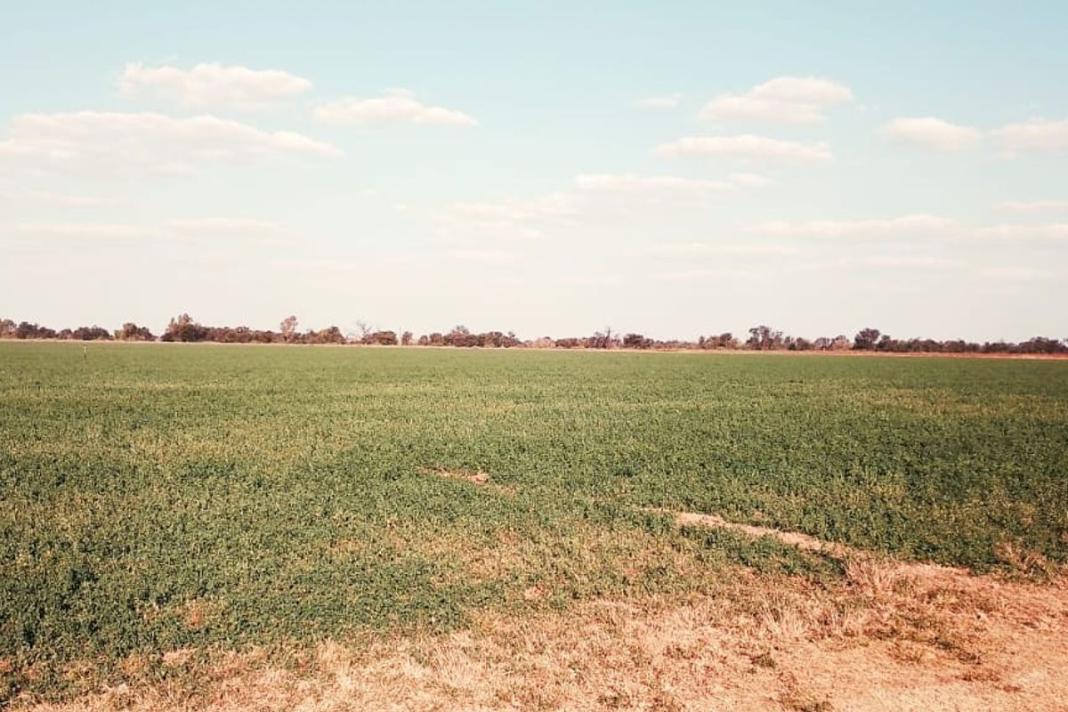 PIVOT POINT WITH 15 HEKT LUCERN .READ POSSIBILITIES BELOW PLEASE - Photo 4