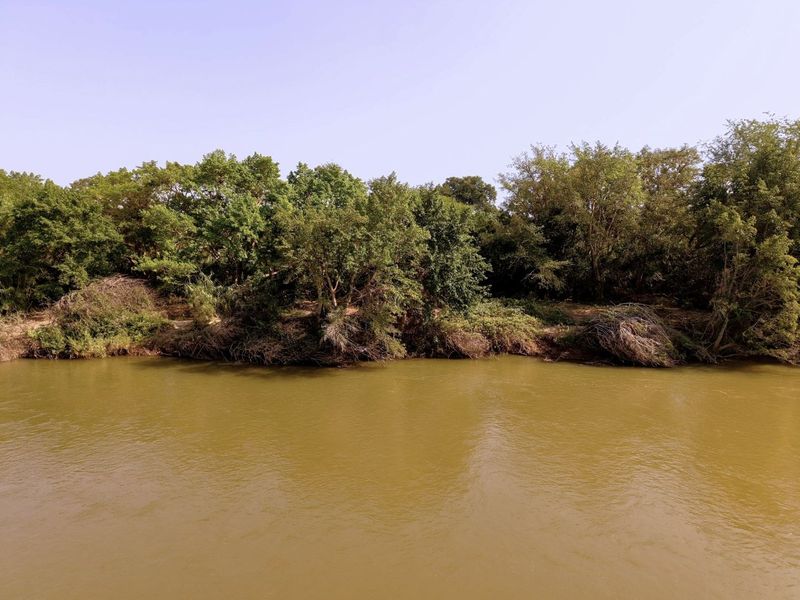 A scenic view of a river with mature trees and natural vegetation along the bank, highlighting the property's natural landscape.