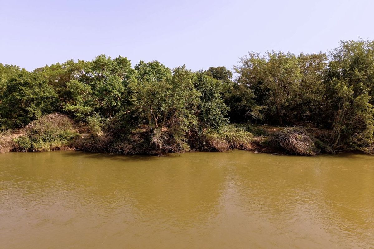 A scenic view of a river with mature trees and natural vegetation along the bank, highlighting the property's natural landscape.