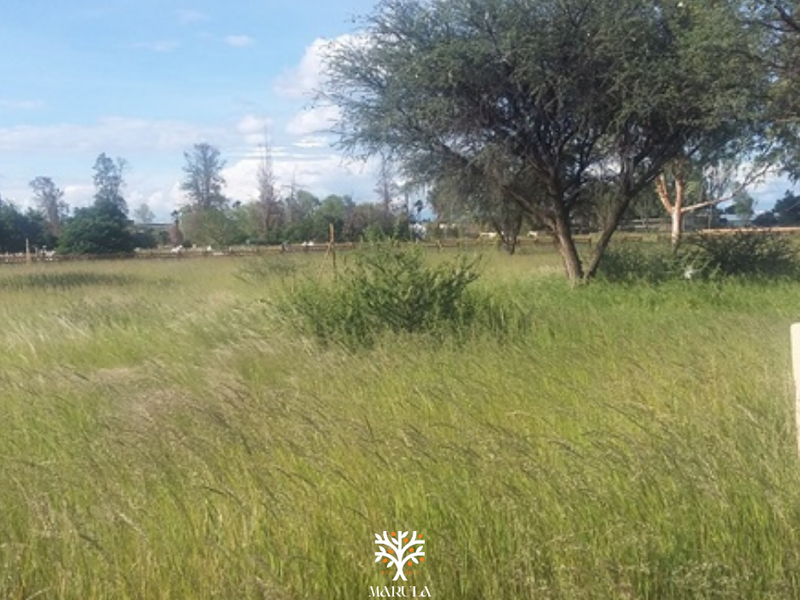 PRIME INVESTMENT OPPORTUNITY IN GOBABIS - Photo 4