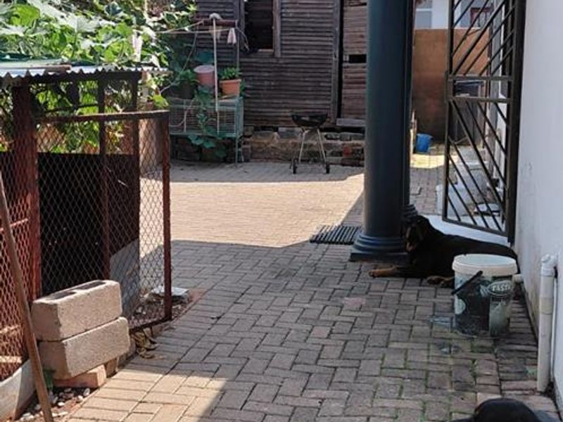 Not to be missed - Photo 3