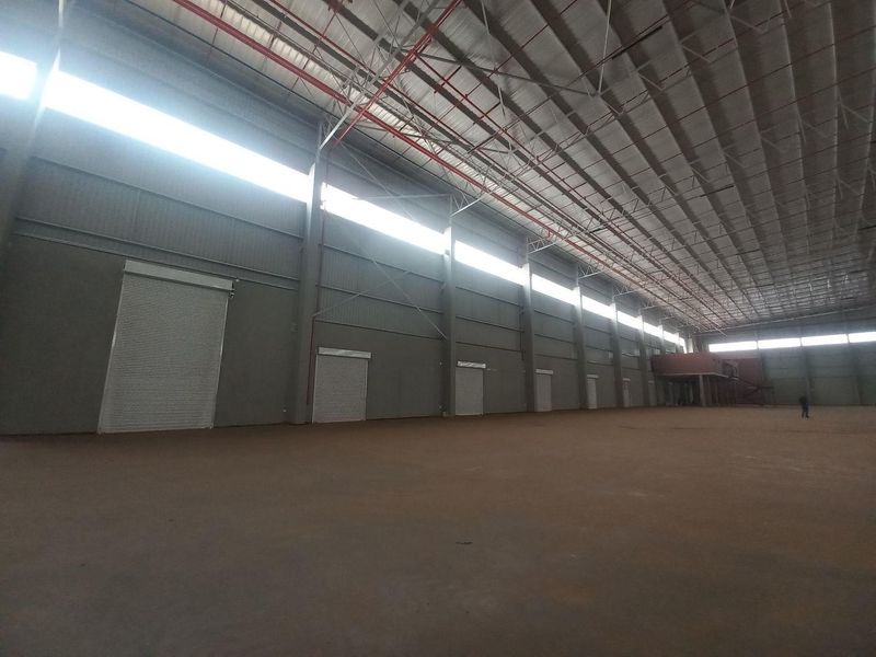11 972m2 Louwlardia Warehouse To Let - Photo 8