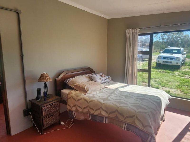 Well located 25 Ha farm - Photo 10