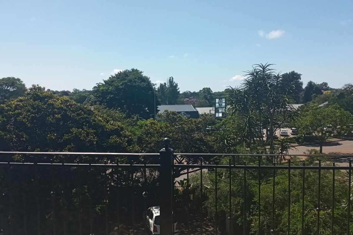 241m2 First-Floor Office with Balcony – Central Hillcrest - Photo 5