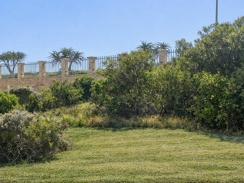 A well-maintained residential garden area featuring a brick boundary wall with integrated metal fencing and established greenery.