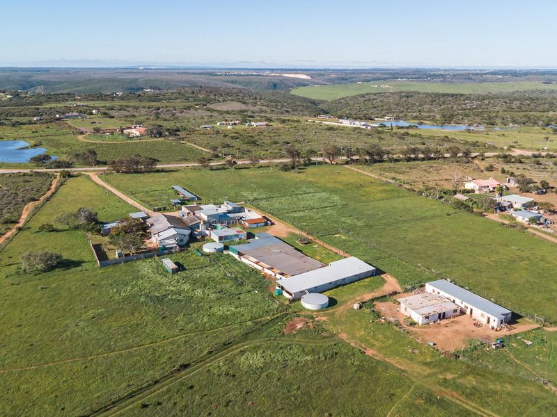 Open Realty Presents, Hillcrest Farm Abattoir – Uitenhage Area - Photo 9