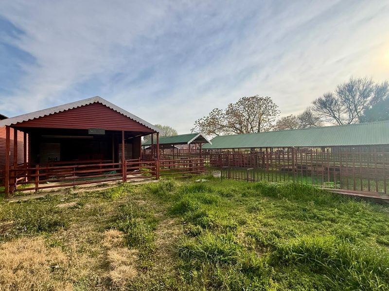 Outdoor farm area featuring multiple metal livestock enclosures with corrugated roofing and concrete flooring, set within a rural landscape.