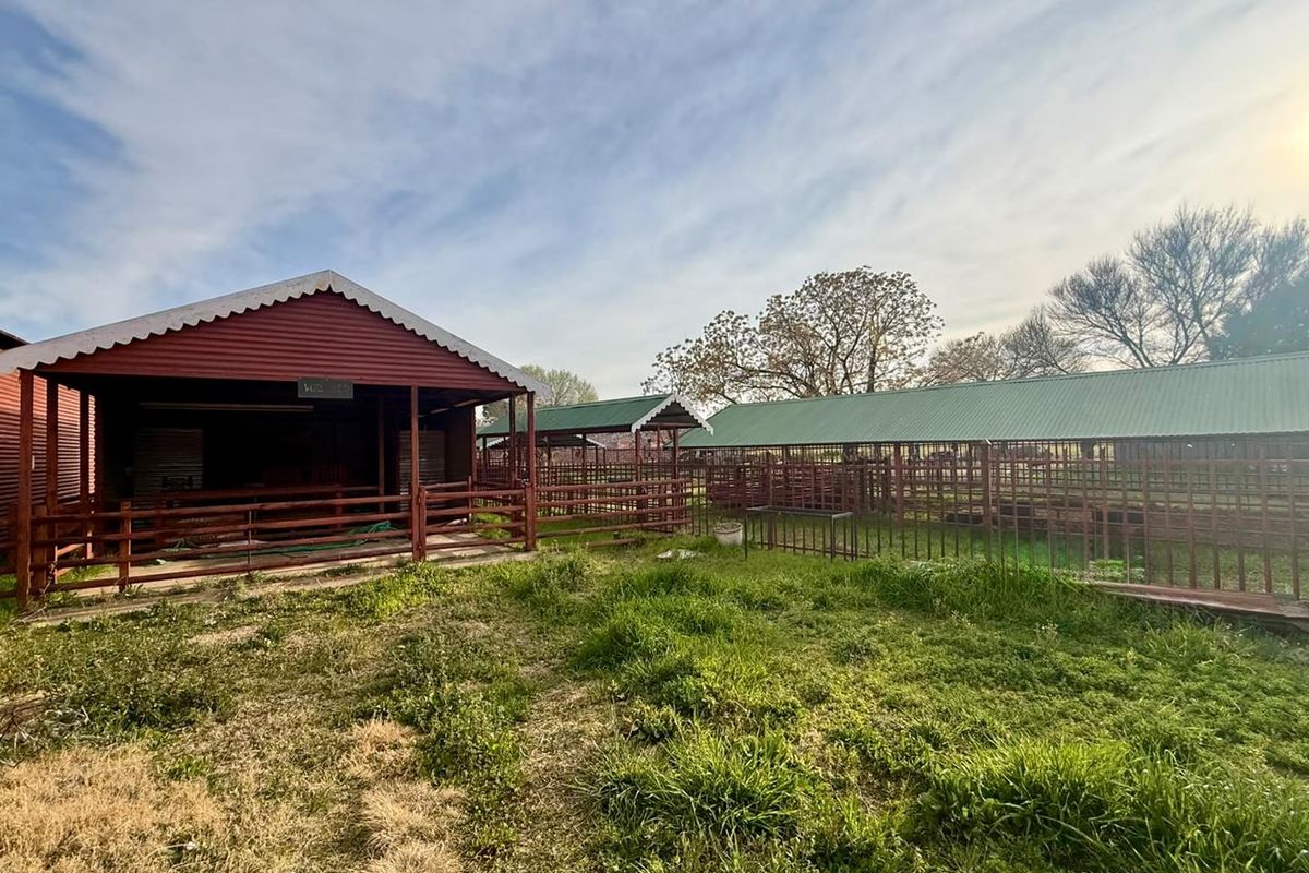 Outdoor farm area featuring multiple metal livestock enclosures with corrugated roofing and concrete flooring, set within a rural landscape.