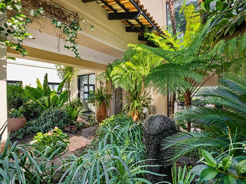 A lush, covered patio area featuring timber decking, exposed rafters, and a stone water feature, creating a serene and integrated indoor-outdoor living space.