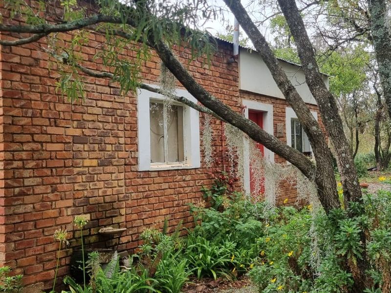 73 Hectare Farm For Sale De Tweedespruit Cullinan - Photo 7