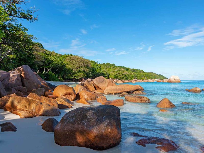 LARGE SCALE TOURISM DEVELOPMENT OPPORTUNITY PRASLIN - Photo 8