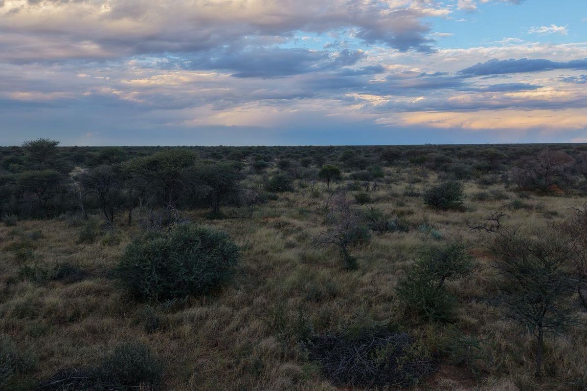 A scenic view of the expansive natural landscape and indigenous vegetation characteristic of the small holding property.