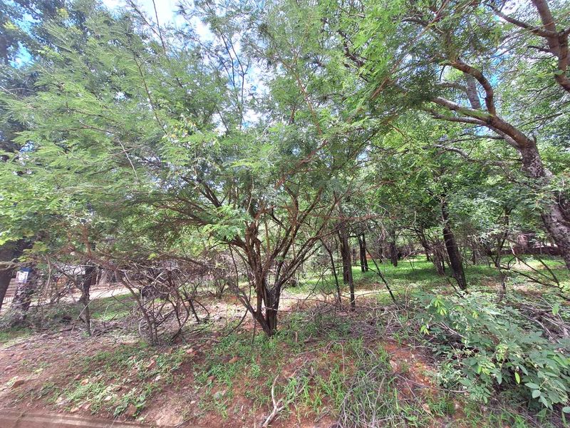 Tranquil Corner Stand - Prime Location - Photo 5