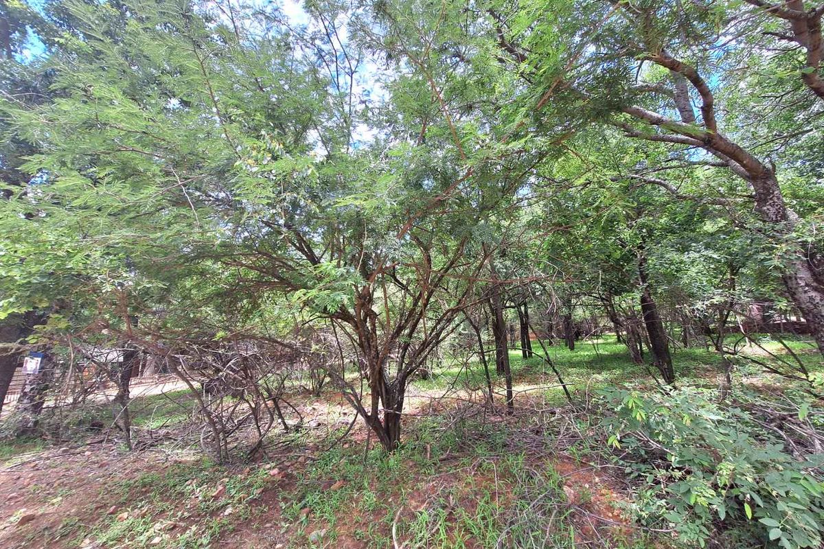 Tranquil Corner Stand - Prime Location - Photo 5