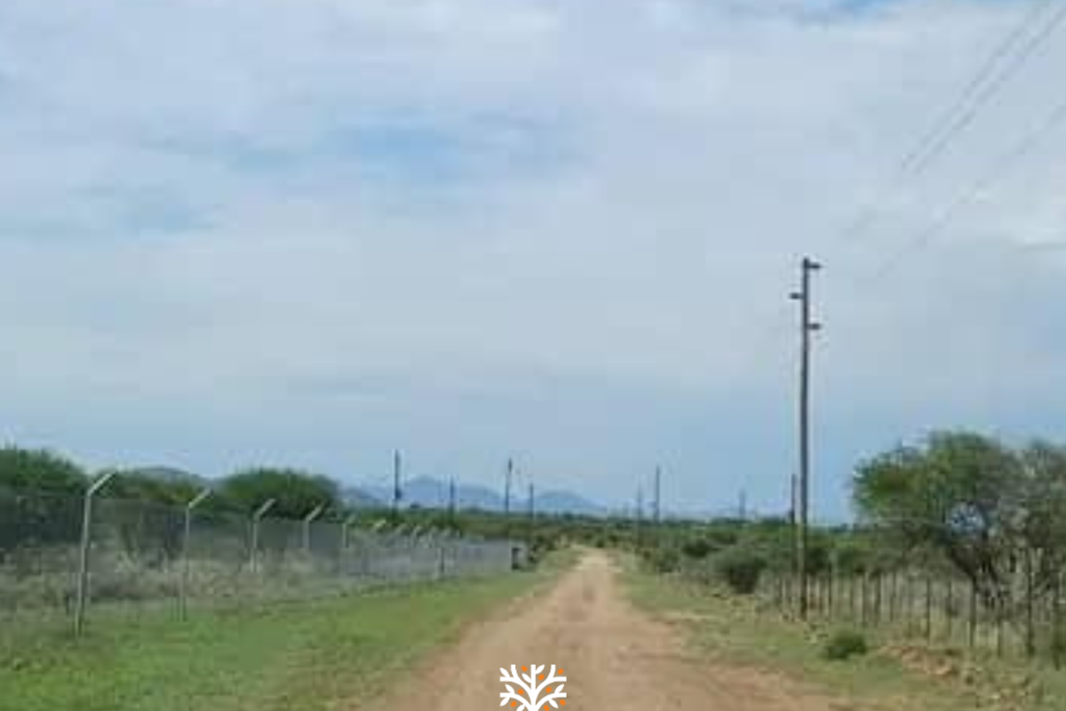 5-HECTARE PLOT AVAILABLE WITH RURAL-RESIDENTIAL ZONING - Photo 2