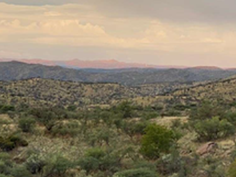 Development Opportunity - Photo 2