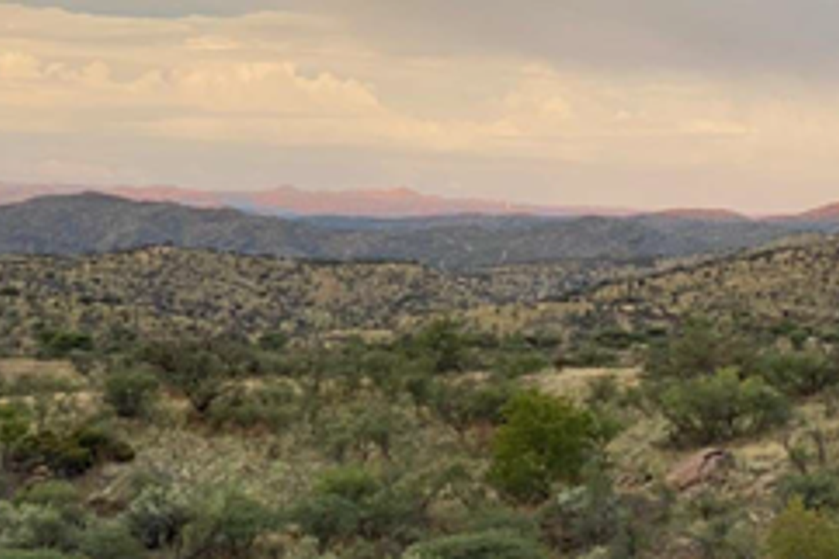 Development Opportunity - Photo 2