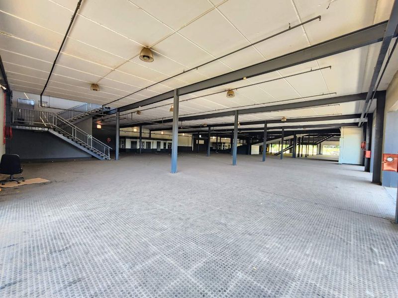 High Exposure Automotive & Retail Power Site on Steve Biko Road – 5,500m2 Mixed Use Facility - Photo 3