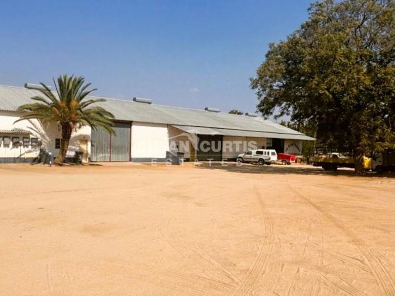 Industrial workshop, sheds and flat one one huge piece of land! - Photo 3