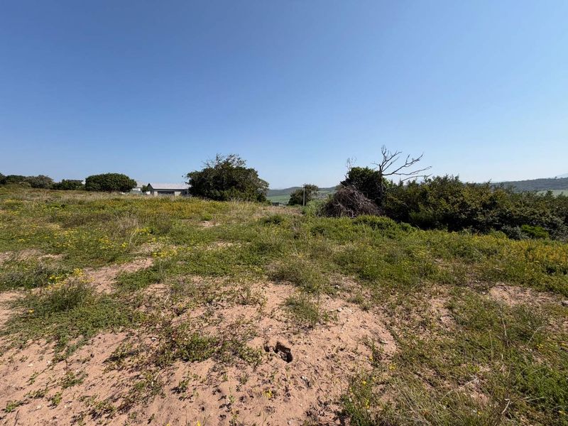 A view of a vacant residential plot featuring natural vegetation and sandy terrain under a clear blue sky.