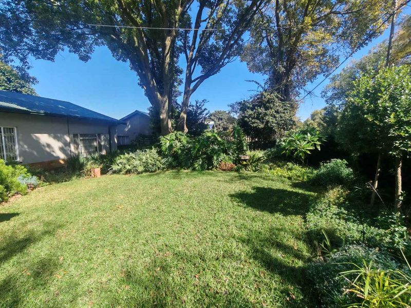 GOLDEN OLDIE - SPACIOUS WITH GRANNY FLAT ON BIG STAND - Photo 3