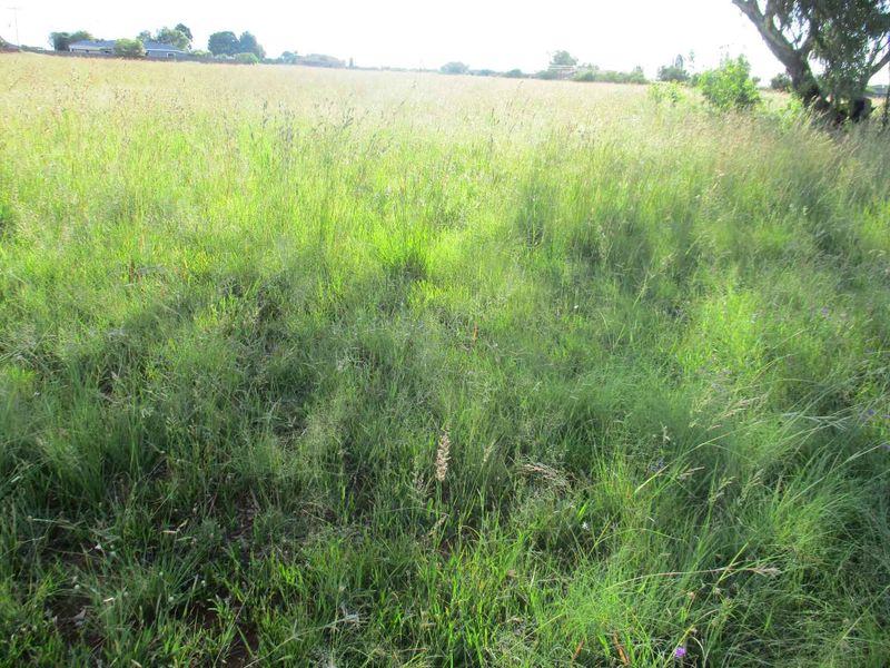 VACANT LAND IN HENLEY - Photo 7