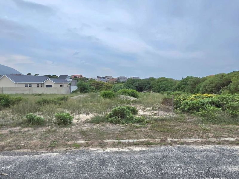 Spacious Coastal Stand In Growing Kleinbaai Area With Great Value - Photo 4
