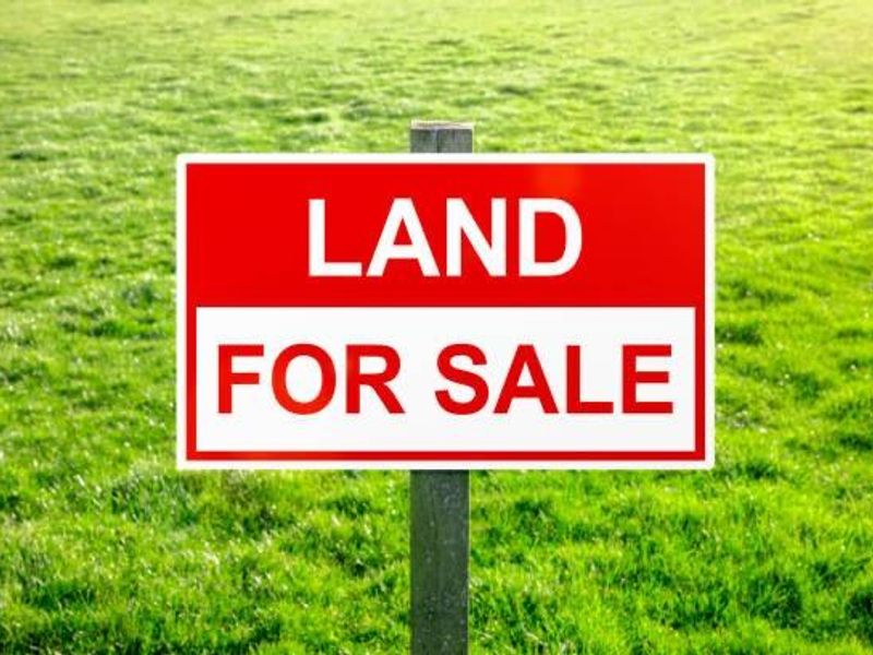 A vacant residential land plot featuring a prominent for sale sign set against a grassy field.