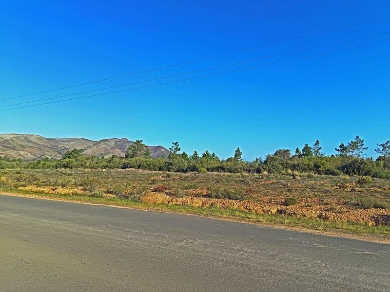 Big Skies,  Big Dreams! - Photo 7