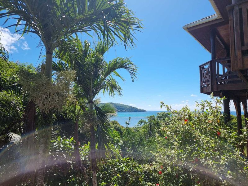 Scenic view of the ocean and coastline framed by lush tropical vegetation and a wooden balcony structure.