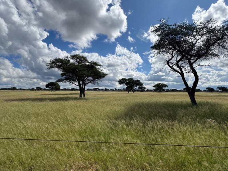 This impressive 4,100-hectare farm, strategically divided into 22 well-equipped camps, offers an exceptional opportunity for serious farming and investment. - Photo 9
