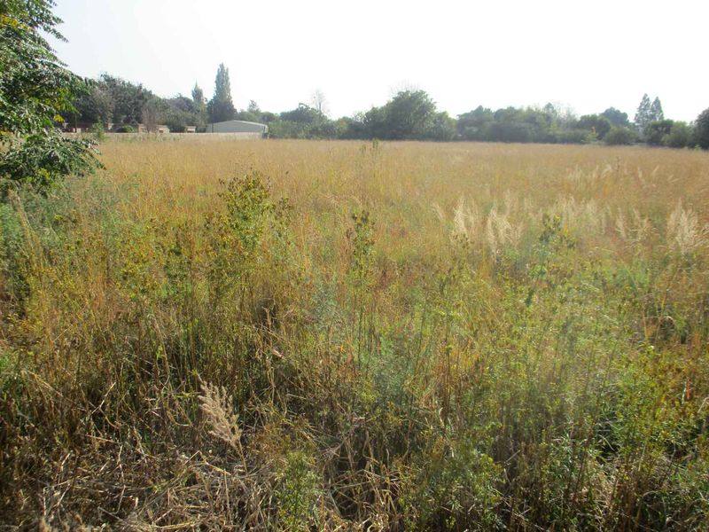 Enjoy the tranquility of Henley - Photo 3